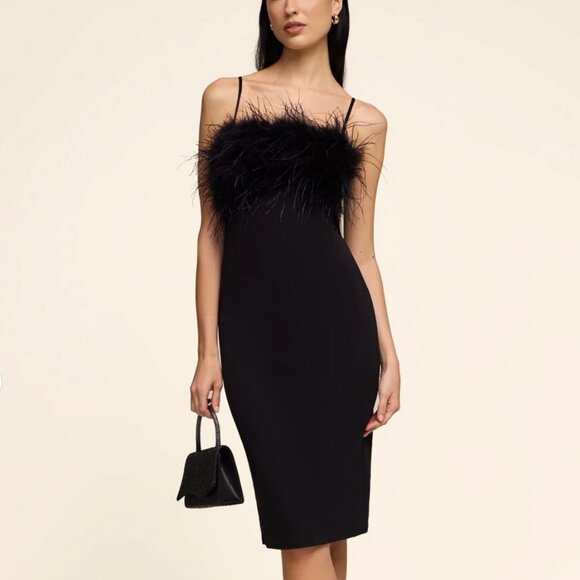 Midi Dress With Feather Trim - Picture 1 of 3